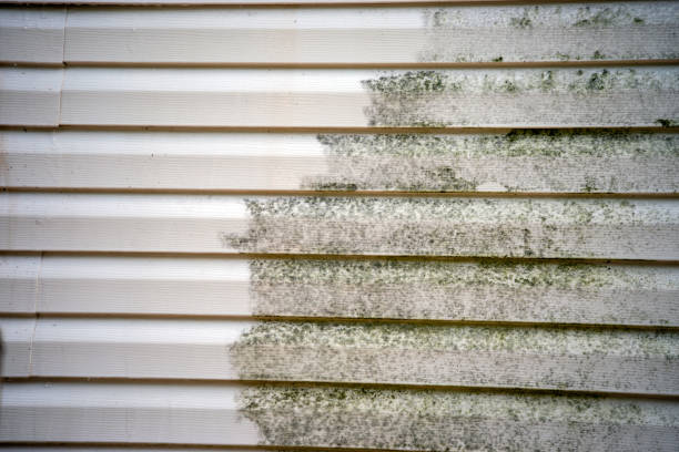 Best Moving and Downsizing Cleanouts  in East Village, CT